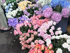 -循礼门鲜花花市(武汉循礼门店)