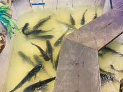 -春盛渔府(牛首山店)