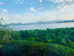 -湖畔居茶楼(湖滨店)