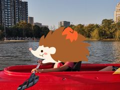 -南翔镇银翔湖公园