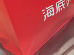 -海底捞火锅(吾悦国际广场店)