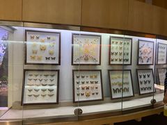 -陕西自然博物馆