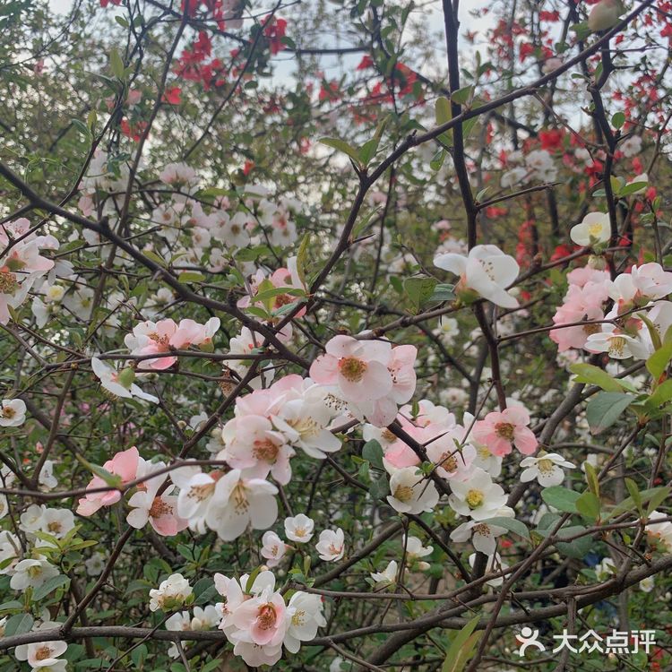 成都植物园