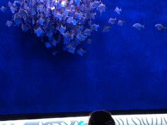 -沈阳海洋探索中心