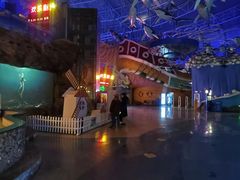 -烟台海昌鲸鲨海洋公园