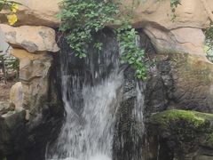 -南山植物园