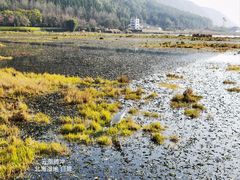 -腾冲北海湿地