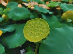 -罔极寺