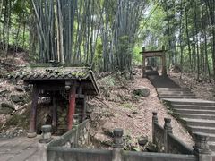 -凤栖山