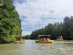 -上海海湾国家森林公园