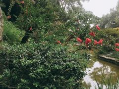 -南山植物园