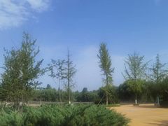 -西安浐灞国家湿地公园