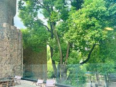 -J Create城市露营咖啡·简餐·宠物(上海动物园店)