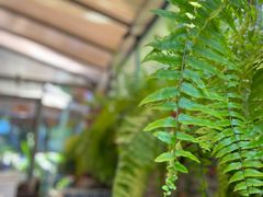 -野蔓果·山野菜(西湖景区·龙井茶田店)