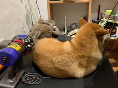 -About Bistro關於·泰式家庭料理