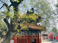 -北京艺术博物馆(万寿寺)
