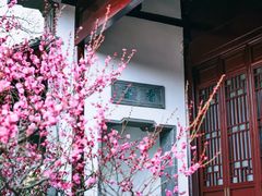 -东南大学(九龙湖校区)