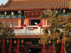 -曹州牡丹园