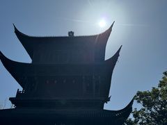 -鲁镇
