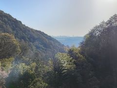 -韬光茶庵