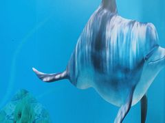 -小海豚•老字号海鲜餐厅(天涯店)