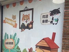 -柴犬高等学院·狗咖·柴犬售卖·宠物训练