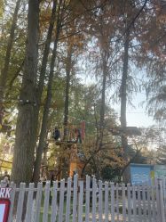 -玄武湖景区-情侣园游乐场