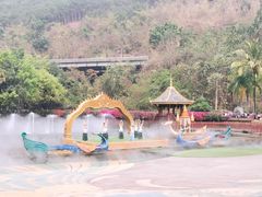 -西双版纳原始森林公园