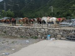 -野三坡清泉山风景区