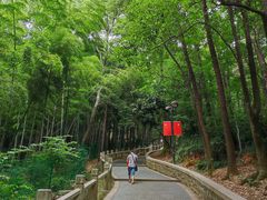 -灵岩山风景区