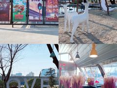 -枫花园汽车电影院(朝阳公园店)