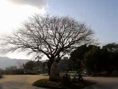 -盐洲岛
