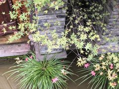 -鱼桥巷·美学川菜