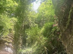 -梭布垭石林景区