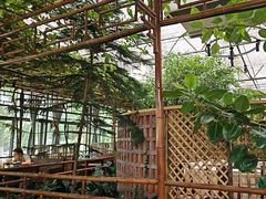 -金稼园·金平湖农家菜
