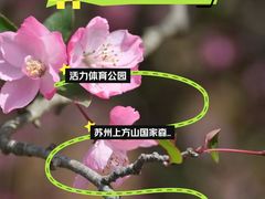-苏州上方山国家森林公园