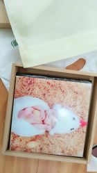 点击看大图 -爱儿宝孕妇儿童亲子摄影(月亮河店)