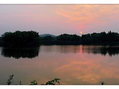 -上海市保健医疗中心(华东疗养院)