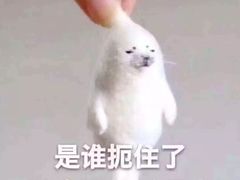 -海底捞火锅(公益西桥店)