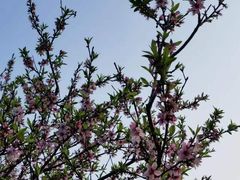 -龙潭生态旅游度假区