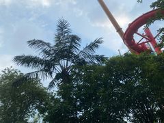 -苏州乐园森林水世界