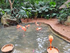 -海南热带野生动植物园