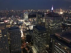 -东京都厅舍