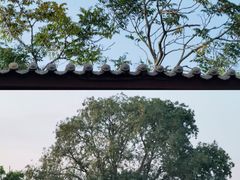 -大名府