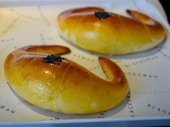 -BLACKSWAN黑天鹅(环球店)