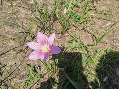 -云碧峰国家森林公园