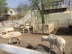 -北京鹿世界主题园