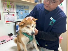 -格蕾宠物医院24H·猫科·肿瘤科·骨科中心(福州总院)