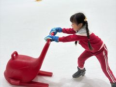 -世界之窗阿尔卑斯冰雪世界
