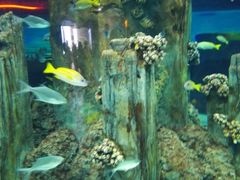 -福州罗源湾海洋世界旅游区